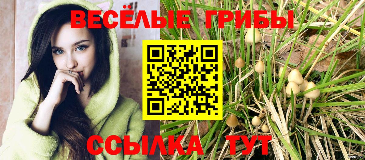 Благовещенск  Псилоцибиновые грибы мухоморы  Вход с VPN  Галлюциногенные грибы Cubensis 